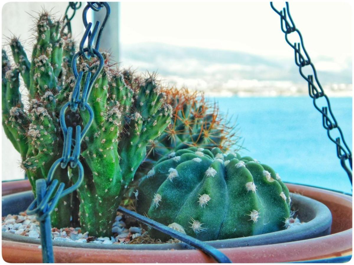 Littlevenice Appartme 50M From Sea Trogir Eksteriør billede